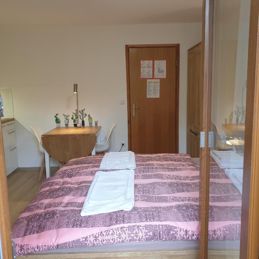 Apartmaji Pri Medvedu Studio Rudnica 博希尼 外观 照片