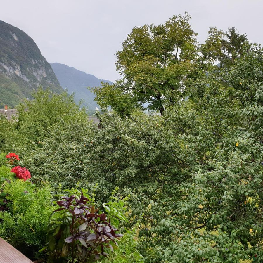 Apartmaji Pri Medvedu Studio Rudnica 博希尼 外观 照片
