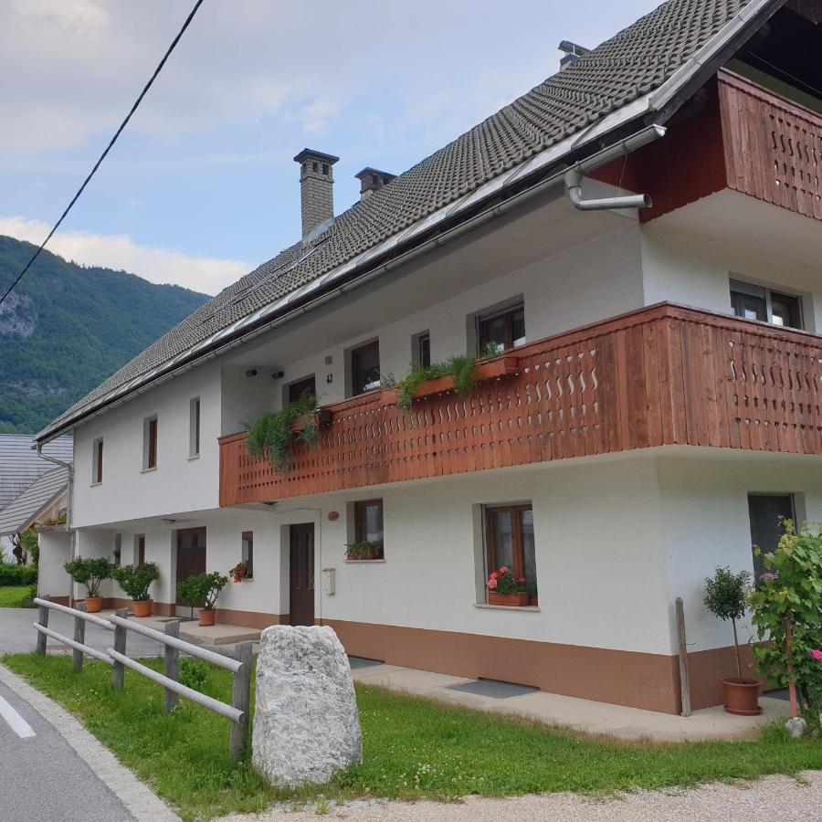 Apartmaji Pri Medvedu Studio Rudnica 博希尼 外观 照片